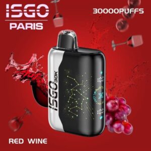 ISGO PARIS X 30000 PUFFS NEW VAPE IN DUBAI